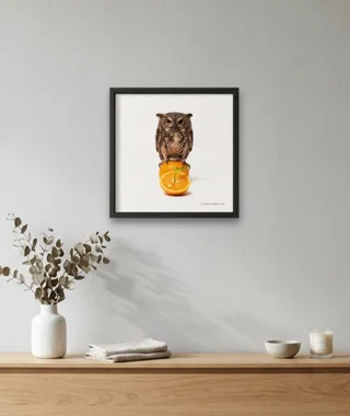 Framed surreal owl print displayed above a wooden console